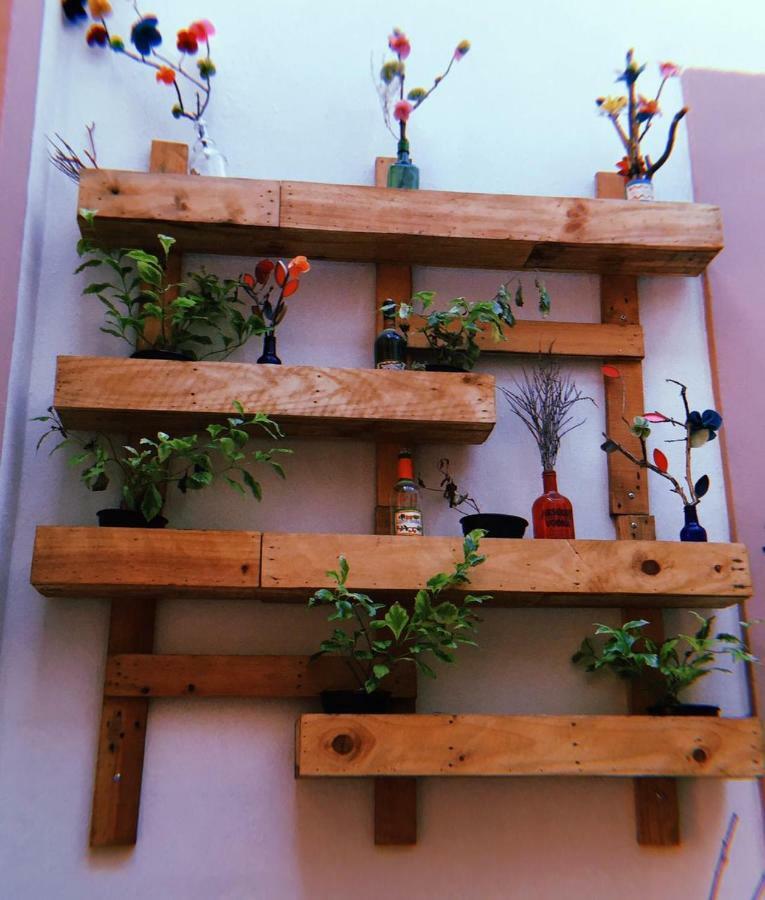 Maria Bonita Hostel กัวดาลาฮารา ภายนอก รูปภาพ