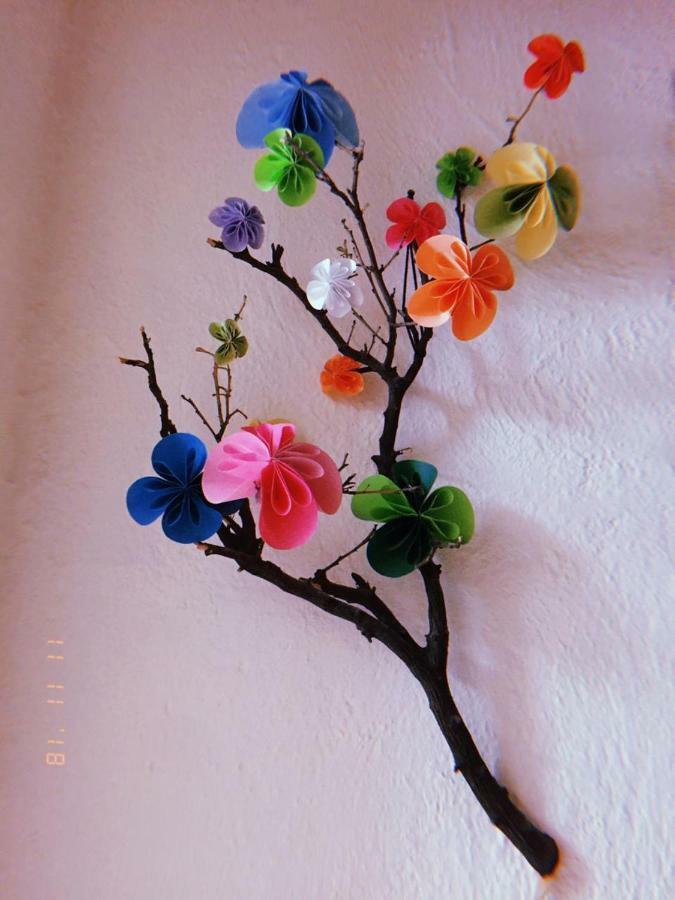 Maria Bonita Hostel กัวดาลาฮารา ภายนอก รูปภาพ